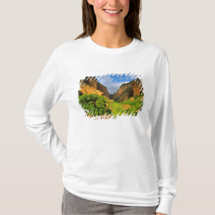 T-shirts Cânion Kolob no Zion Canyon no Parque Nacional Zio