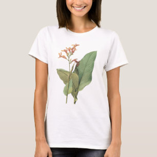 T-shirts canna (Canna gigantea) por Redouté