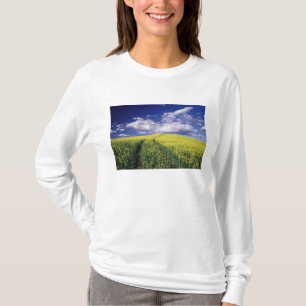 T-shirts Canola amarela no Condado de Whitman estado de Was