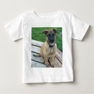 T-shirts Cão belga de Malinois do pastor