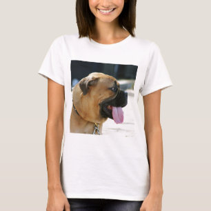 T-shirts Cão de Bullmastiff