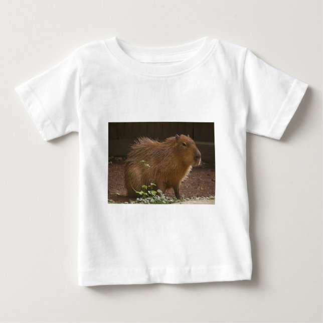 T-shirts Capivara (Frente)