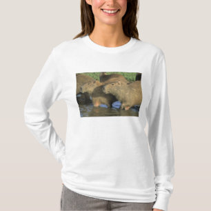 T-shirts Capybara, Hidrochaeris (Hidrochaeris), do mundo