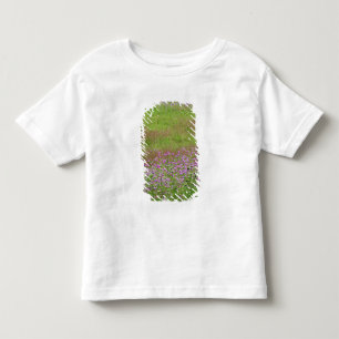 T-shirts Cará-da-floresta (Daucus carota) crescendo
