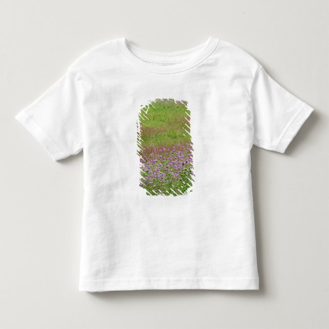 T-shirts Cará-da-floresta (Daucus carota) crescendo (Frente)