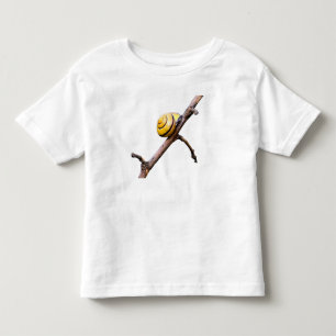 T-shirts Caracol no galho