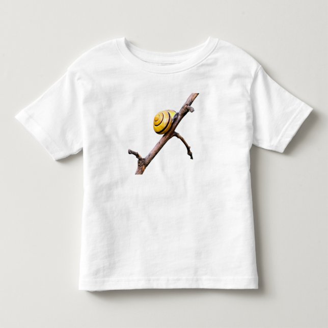 T-shirts Caracol no galho (Frente)