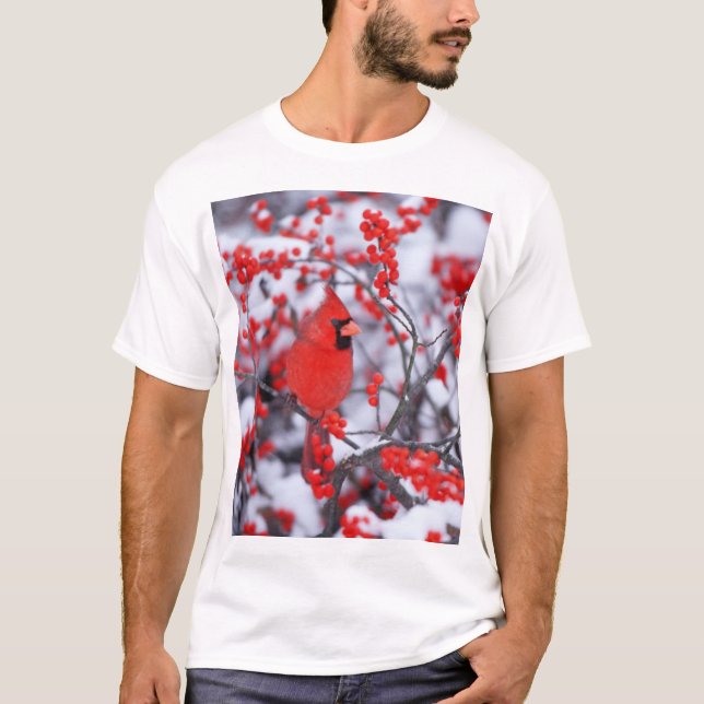 T-shirts Cardinal-vermelho macho, Inverno, IL (Frente)