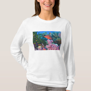 T-shirts cardume de Anthias squamipinnis (Pseudanthias