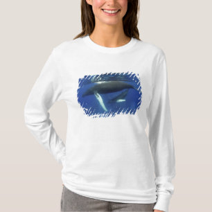 T-shirts Caribe, arquipélago das Grandes Antilhas,