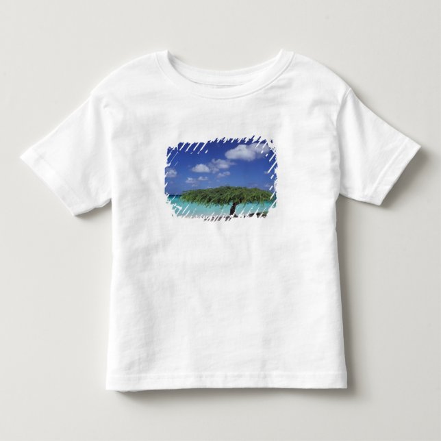 T-shirts Caribe, Aruba. Praia Eagle (Frente)