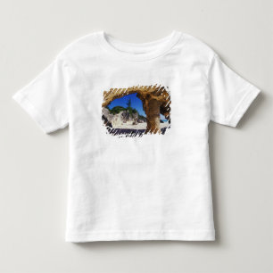T-shirts Caribe, Bermudas, Tucker's Town. Natural