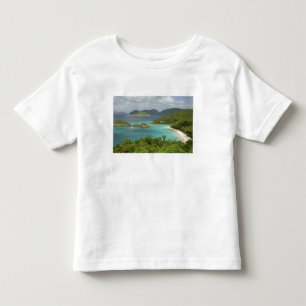 T-shirts Caribe, Ilhas Virgens dos EUA, St. John, Tronco
