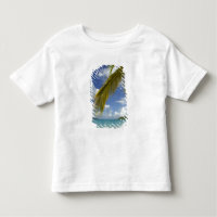 Caribe, Ilhas Virgens dos EUA, St.Thomas,