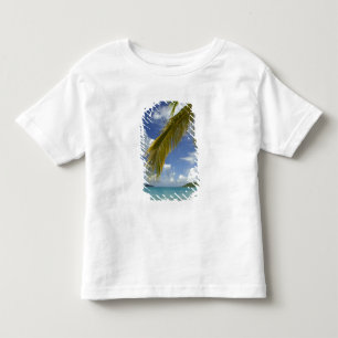 T-shirts Caribe, Ilhas Virgens dos EUA, St.Thomas,