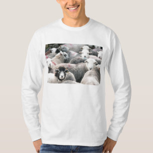 T-shirts Carneiros de Herdwick