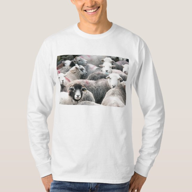 T-shirts Carneiros de Herdwick (Frente)
