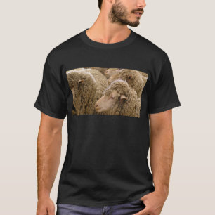 T-shirts Carneiros de Merino