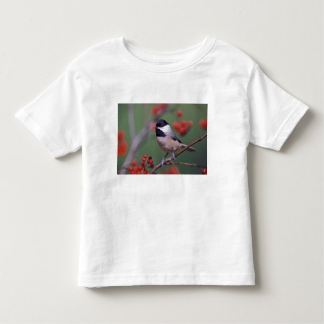 T-shirts Carolina Chickadee (Frente)