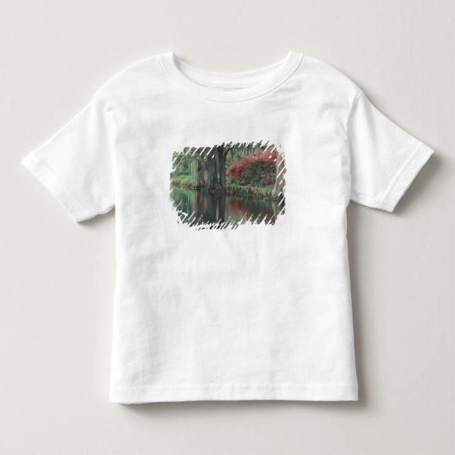 T-shirts Carolina do Sul, Charleston (Frente)
