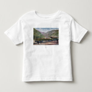 T-shirts Carro de estrada de ferro da observação