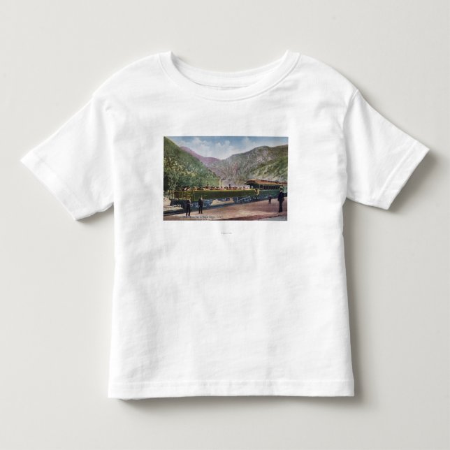 T-shirts Carro de estrada de ferro da observação (Frente)