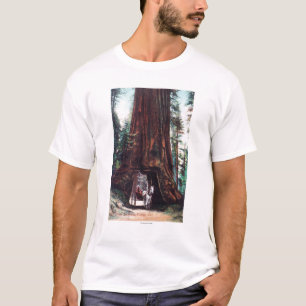 T-shirts Carruagem que viaja sob uma sequóia vermelha