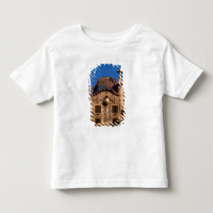 T-shirts Casa Batilo, Arquitetura Gaudi, Barcelona,