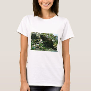 T-shirts Castor