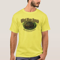 Castores do rancho de Wind River