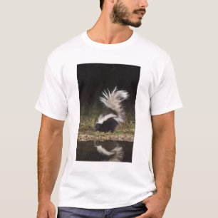 T-shirts Catingueira, Mephitis mephitis