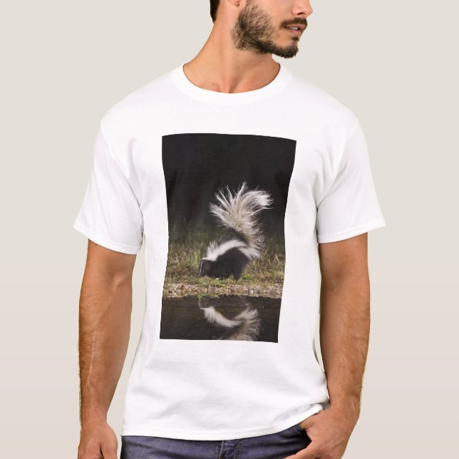 T-shirts Catingueira, Mephitis mephitis (Frente)