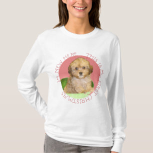 T-shirts Cavachon Filhote Primeiro Natal
