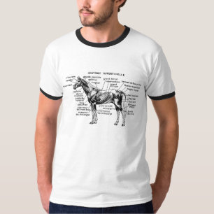 T-shirts Cavalo