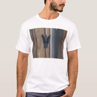 T-shirts Cavalo