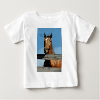 Cavalo