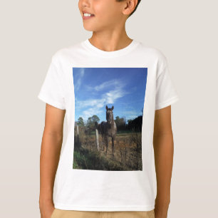 T-shirts Cavalo castanho de chocolate em azul