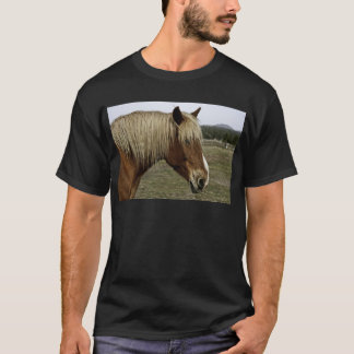 T-shirts Cavalo dourado