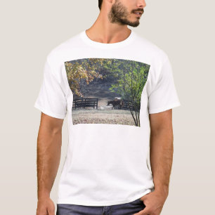 T-shirts Cavalo Marrom atravessando Cerca