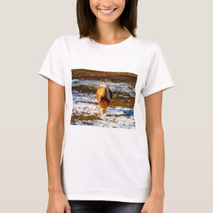 T-shirts Cavalo marrom e minúsculo creme na neve.