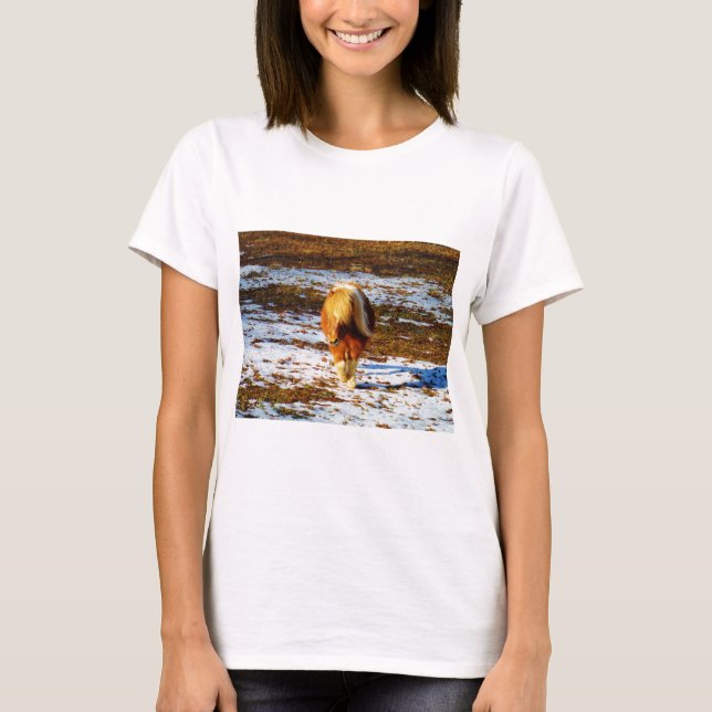 T-shirts Cavalo marrom e minúsculo creme na neve. (Frente)