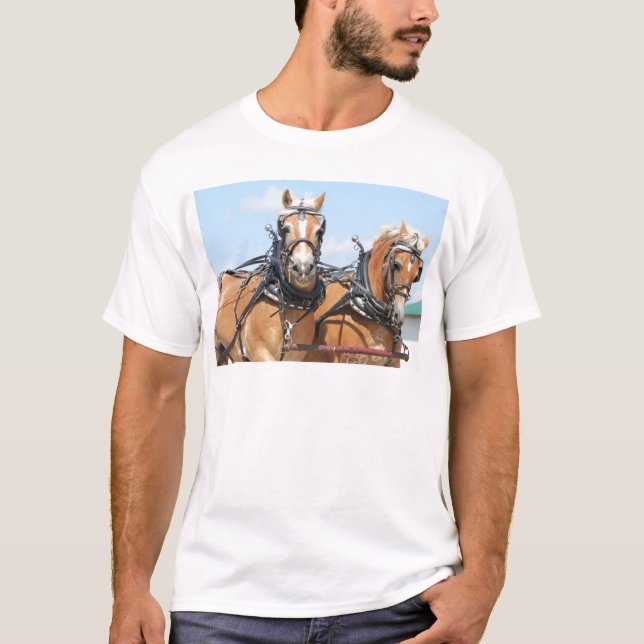 T-shirts Cavalos belgas (Frente)