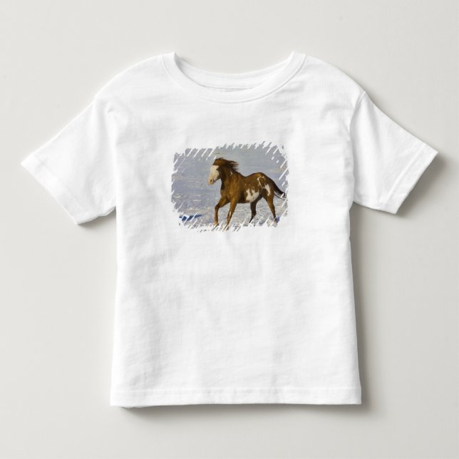 T-shirts Cavalos Correndo na Neve (Frente)