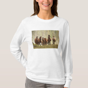 T-shirts Cavalos galopando no topo de uma pequena colina du