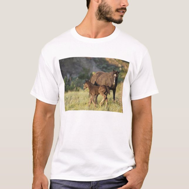 T-shirts Cavalos selvagens no Parque Nacional de Theodore R (Frente)