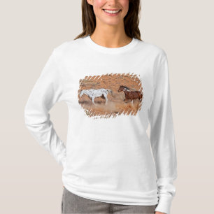 T-shirts Cavalos vagando pelo Big Horn MT de Shell Wyoming.