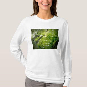 T-shirts Cena de floresta no Parque Nacional Acadia, Maine.