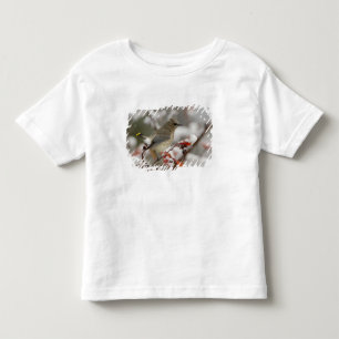 T-shirts Cera virgem adulto em pilriteiro com neve