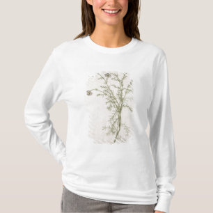T-shirts Chamaemelum Allioni nobile, c.1568