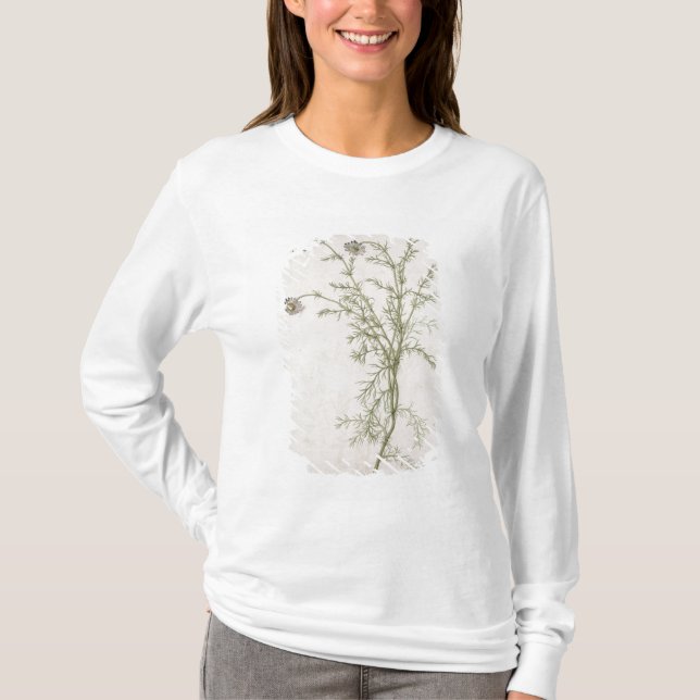 T-shirts Chamaemelum Allioni nobile, c.1568 (Frente)